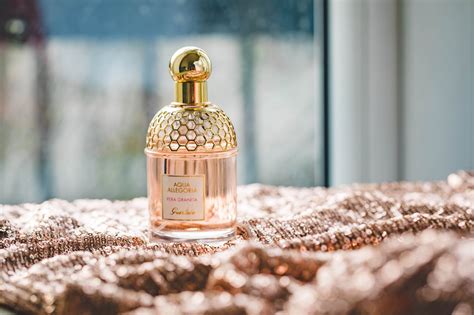 designer perfumes with pheromones 2019